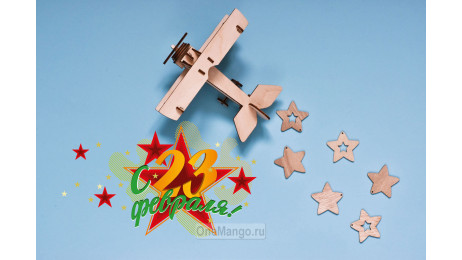 Занавес 23 февраля 002