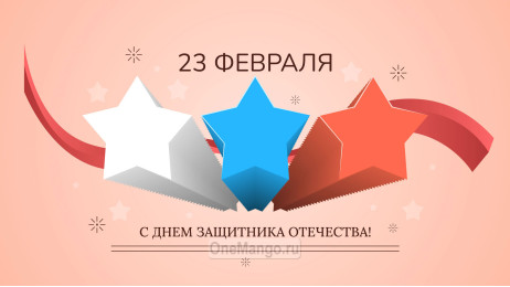 Занавес 23 февраля 005