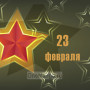 Занавес 23 февраля 008