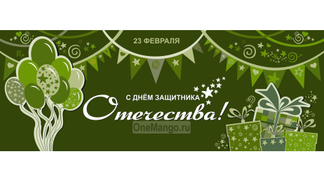 Занавес 23 февраля 011