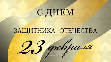 Занавес 23 февраля 030