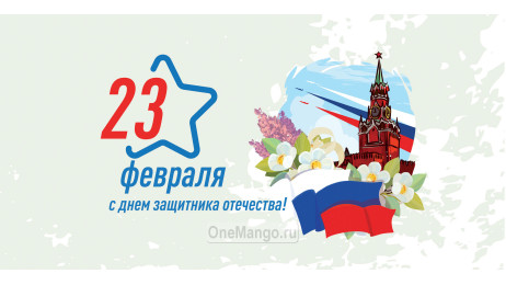 Занавес 23 февраля 031