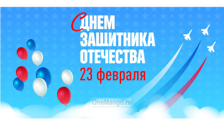 Занавес 23 февраля 033