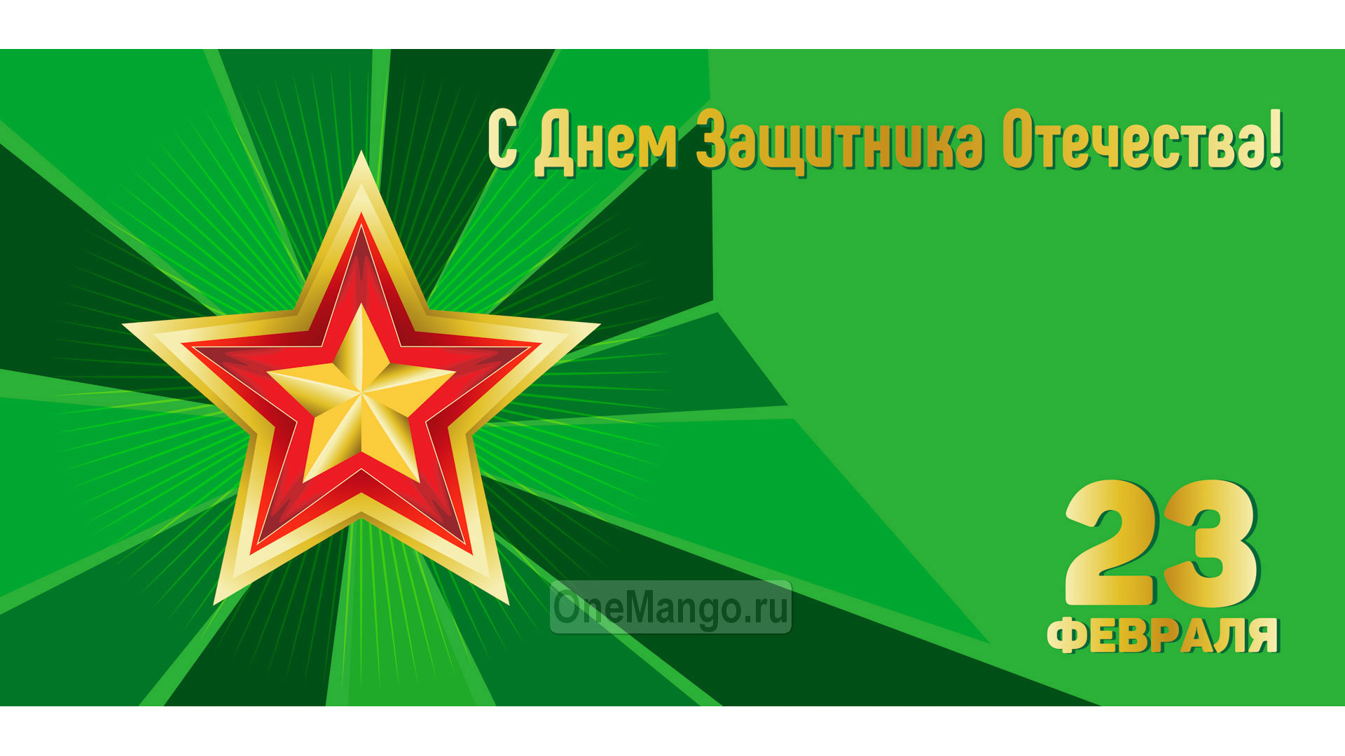 Занавес 23 февраля 034