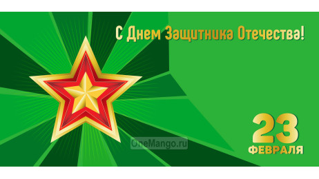 Занавес 23 февраля 034