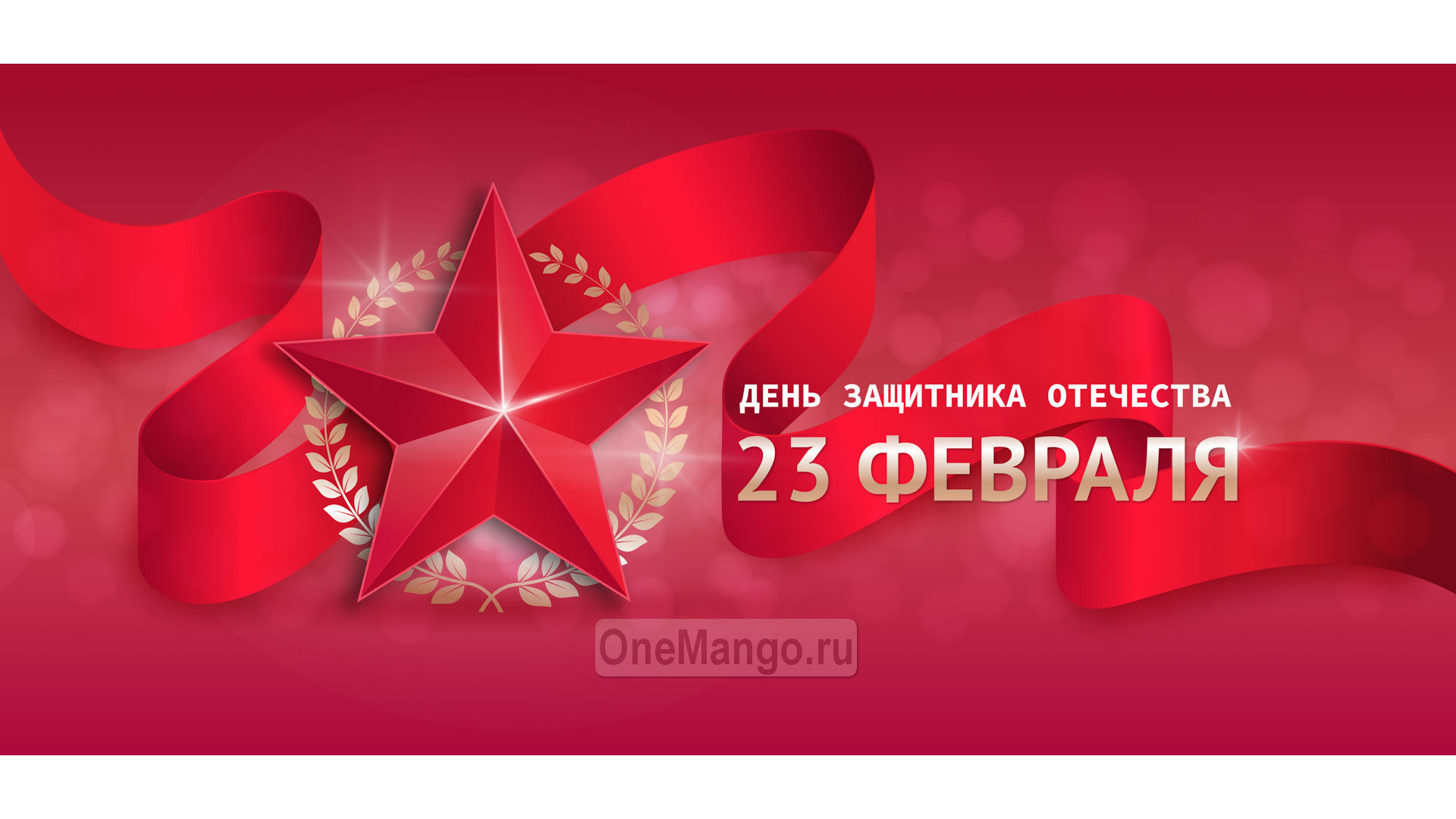 Занавес 23 февраля 038