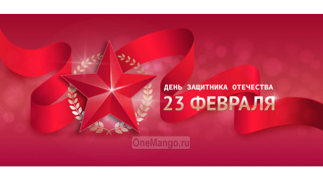Занавес 23 февраля 038