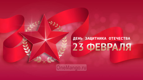 Занавес 23 февраля 038