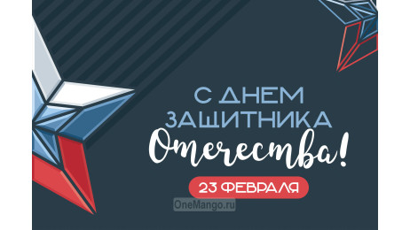 Занавес 23 февраля 044