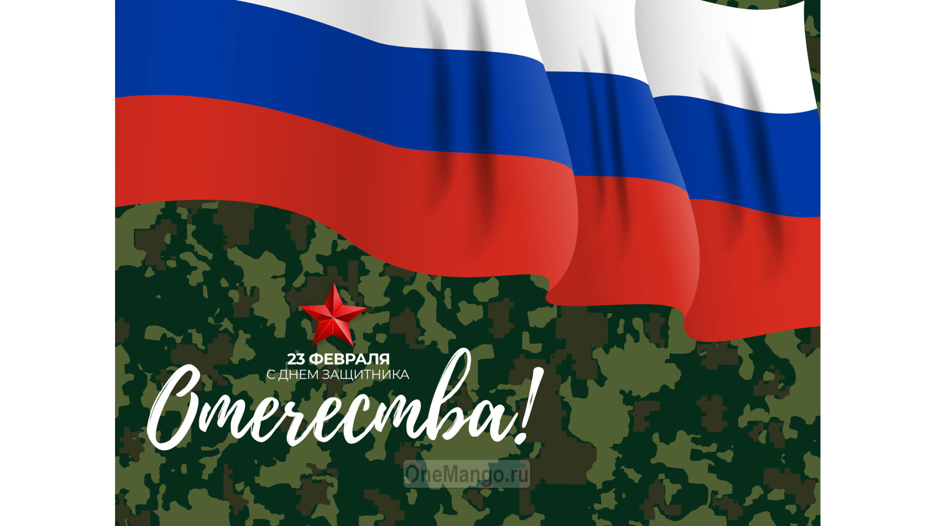 Занавес 23 февраля 045