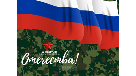 Занавес 23 февраля 045