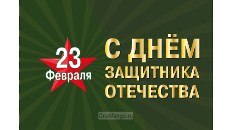 Занавес 23 февраля 049