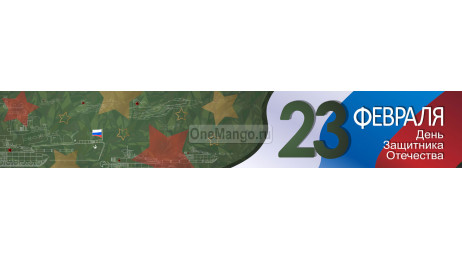 Занавес 23 февраля 050