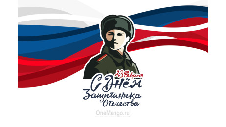 Занавес 23 февраля 053