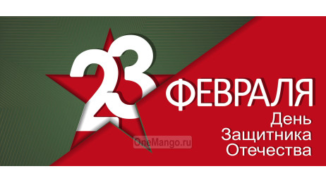 Занавес 23 февраля 057