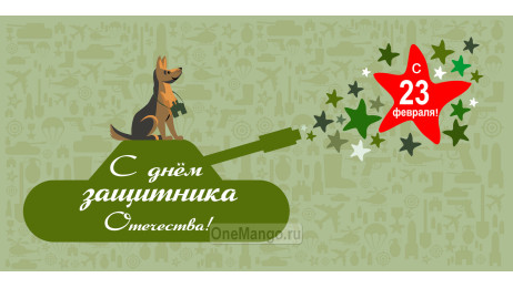 Занавес 23 февраля 061