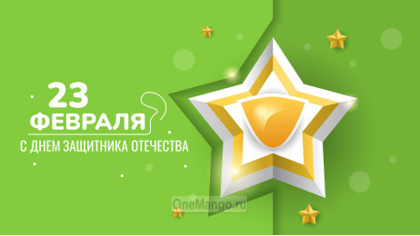 Занавес 23 февраля 076