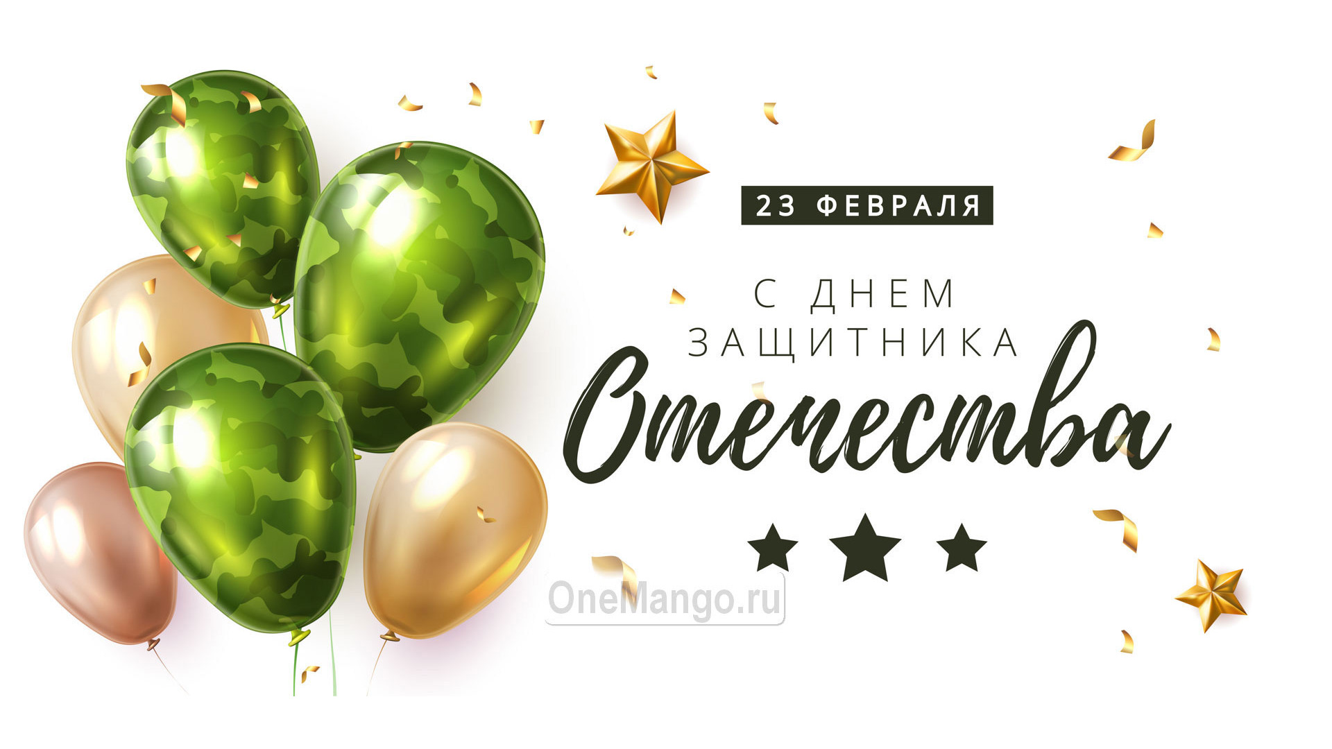 Занавес 23 февраля 098