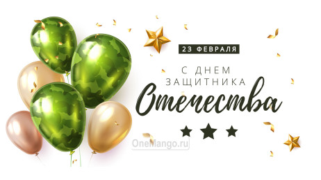 Занавес 23 февраля 098