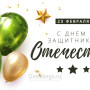 Занавес 23 февраля 098