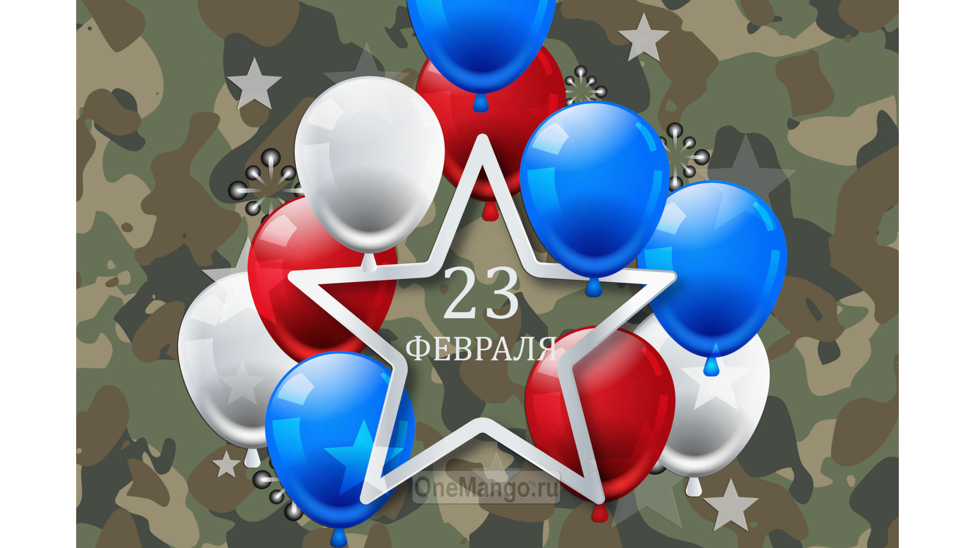Занавес 23 февраля 102