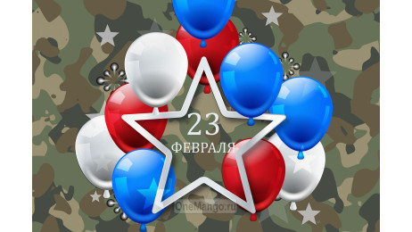 Занавес 23 февраля 102