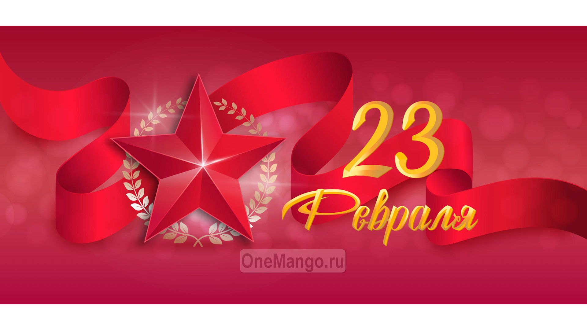 Занавес 23 февраля 113