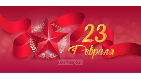 Занавес 23 февраля 113