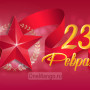Занавес 23 февраля 113