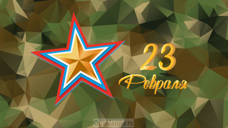 Занавес 23 февраля 115