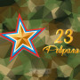 Занавес 23 февраля 115