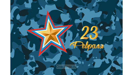 Занавес 23 февраля 116