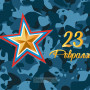 Занавес 23 февраля 116