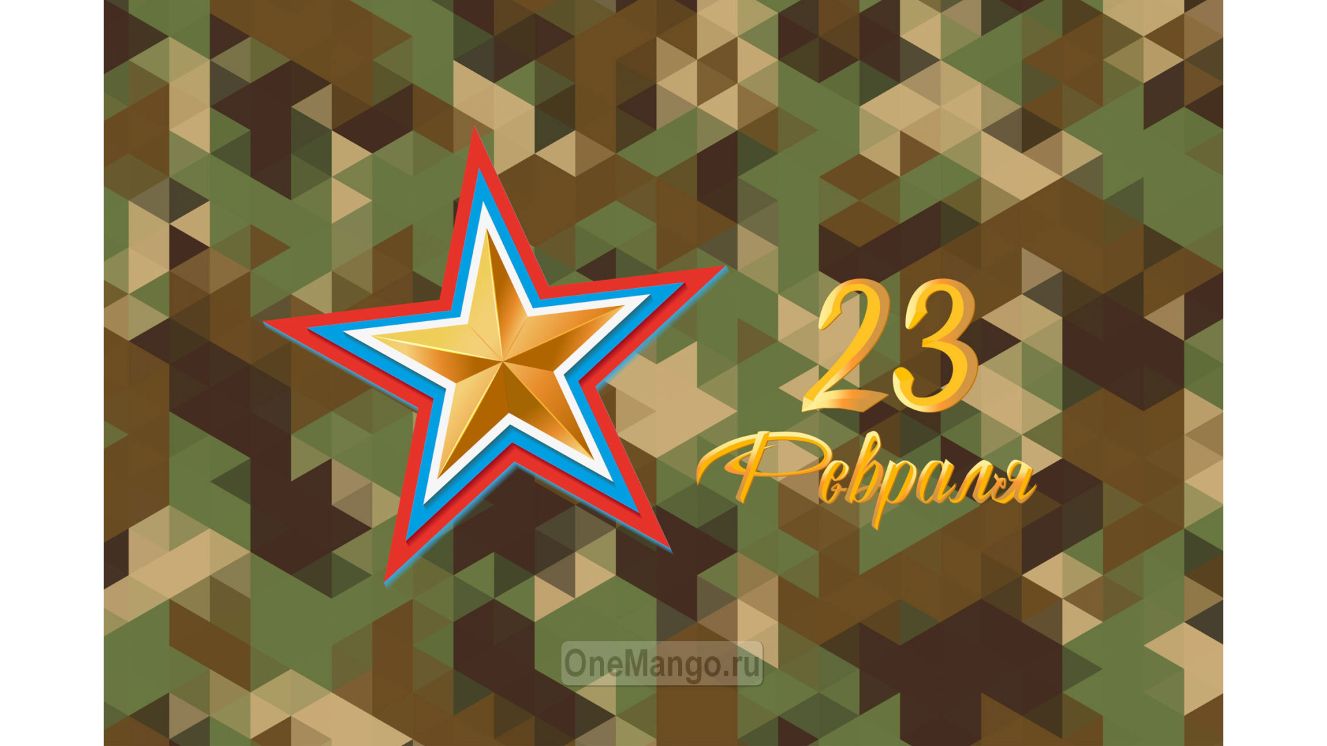Занавес 23 февраля 117