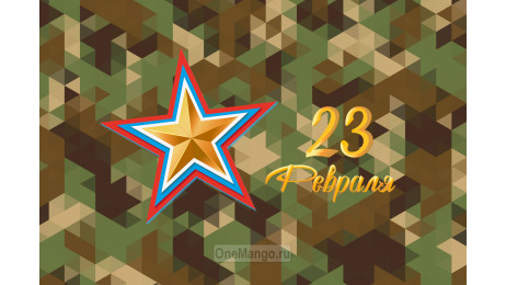 Занавес 23 февраля 117