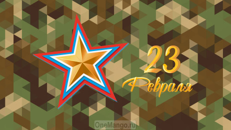 Занавес 23 февраля 117
