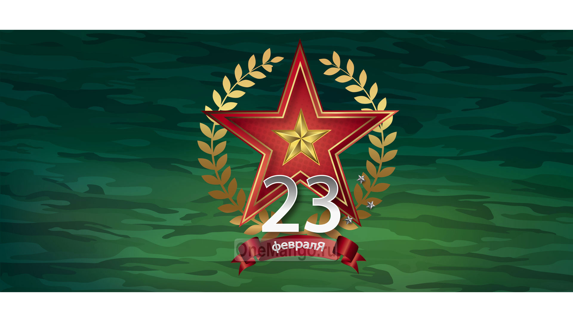 Занавес 23 февраля 119