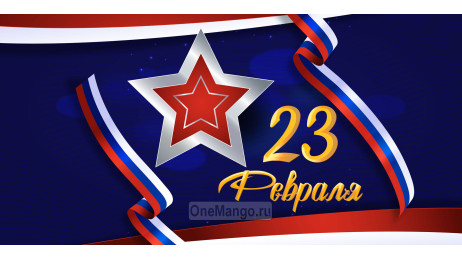 Занавес 23 февраля 122