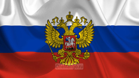 Занавес флаг России 002