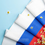 Занавес флаг России 007