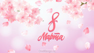 Занавес 8 марта 003