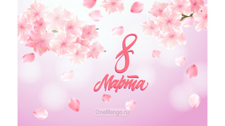 Занавес 8 марта 003