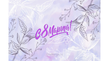 Занавес 8 марта 008
