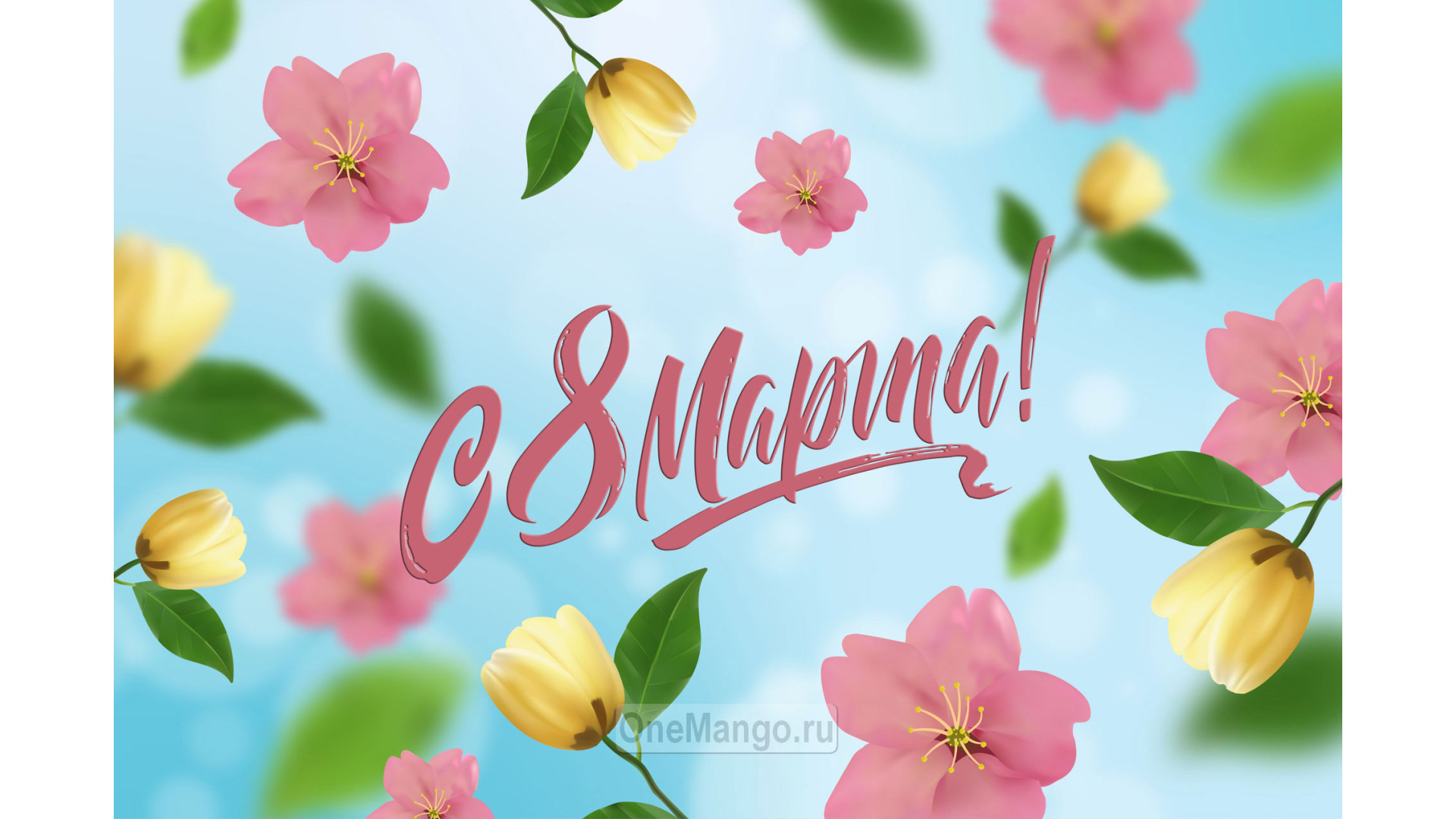 Занавес 8 марта 020