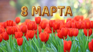 Занавес 8 марта 055