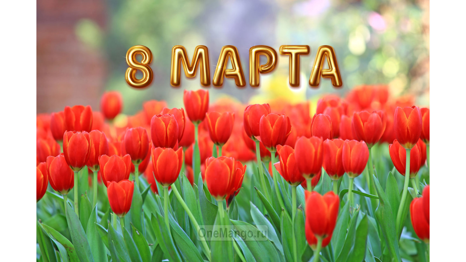 Занавес 8 марта 055