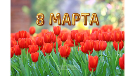 Занавес 8 марта 055
