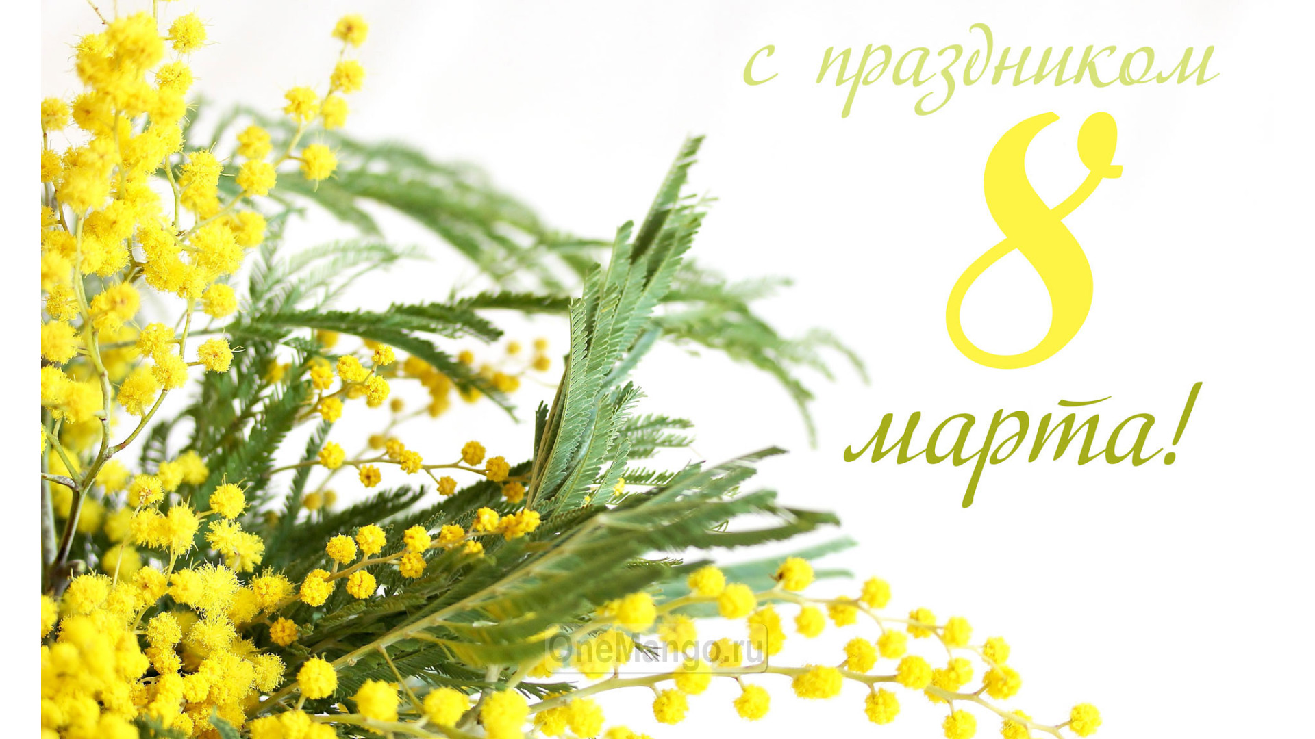 Занавес 8 марта 063