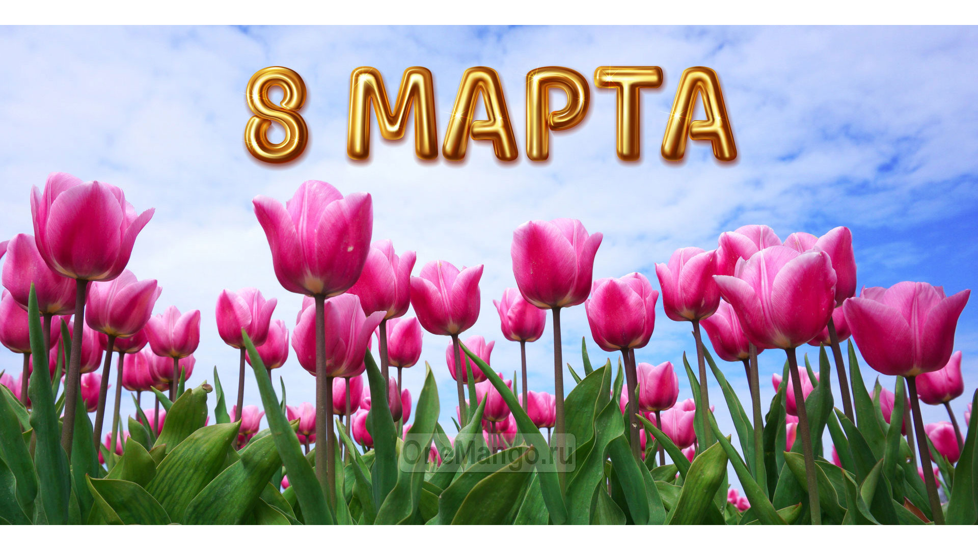Занавес 8 марта 073