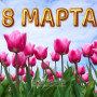 Занавес 8 марта 073